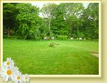 StValery_DCA_14.05.2015 (34)
